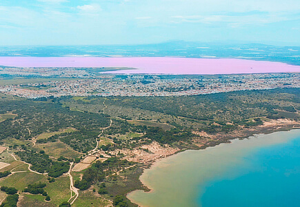 Laguna Rosa